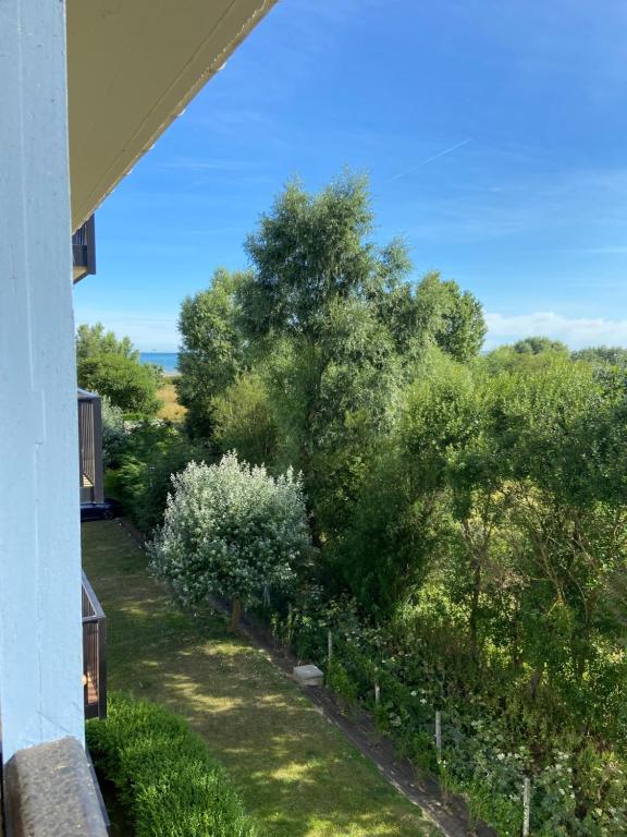 Vue mer et verdure - 3