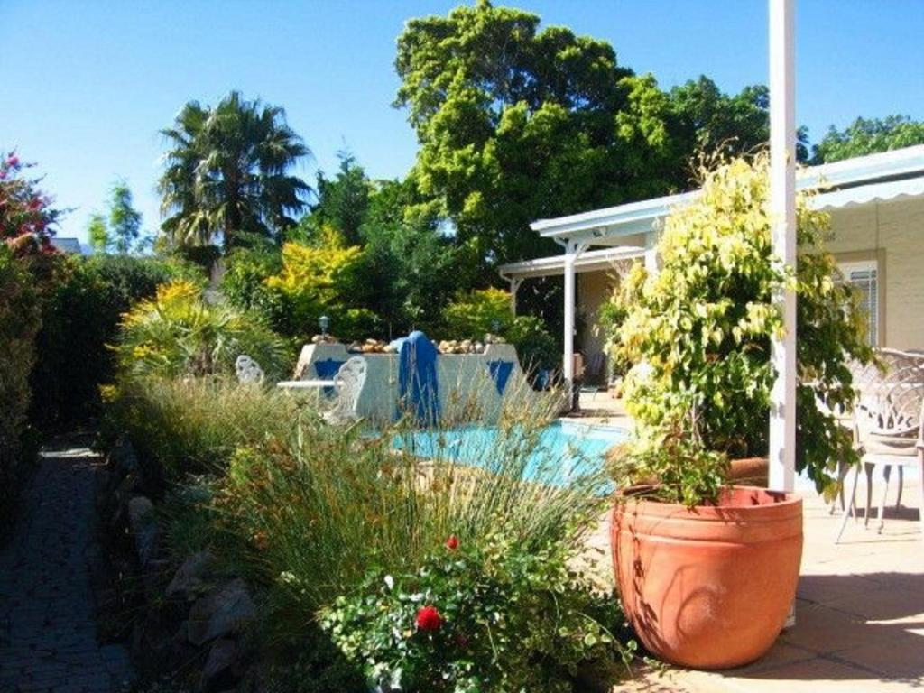 Paradiso Guesthouse & Self-Catering Cottage photo