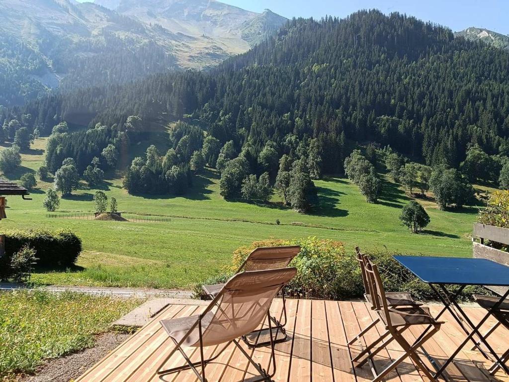 Appartement cosy, vue montagne, 4-6 pers, WIFI, animaux OK - FR-1-437-90 - 2