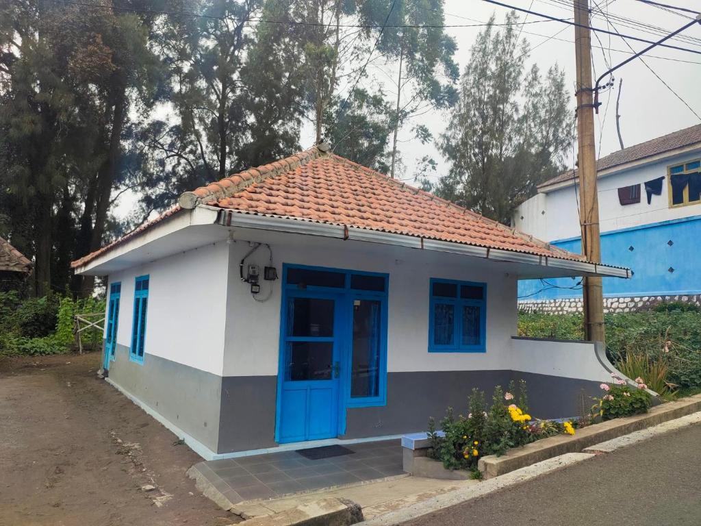 Homestay SHINTA Gunung Bromo  photo
