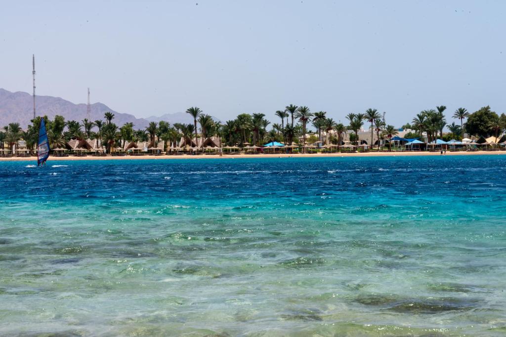 Dahab Lagoon Club & Resort Ex Tirana Dahab — Beach in Dahab, Red Sea