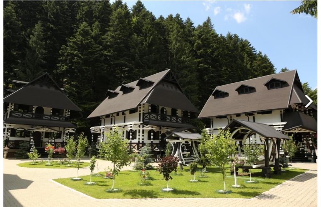 Complex Lions Bucovina — Hotel in Gura Humorului
