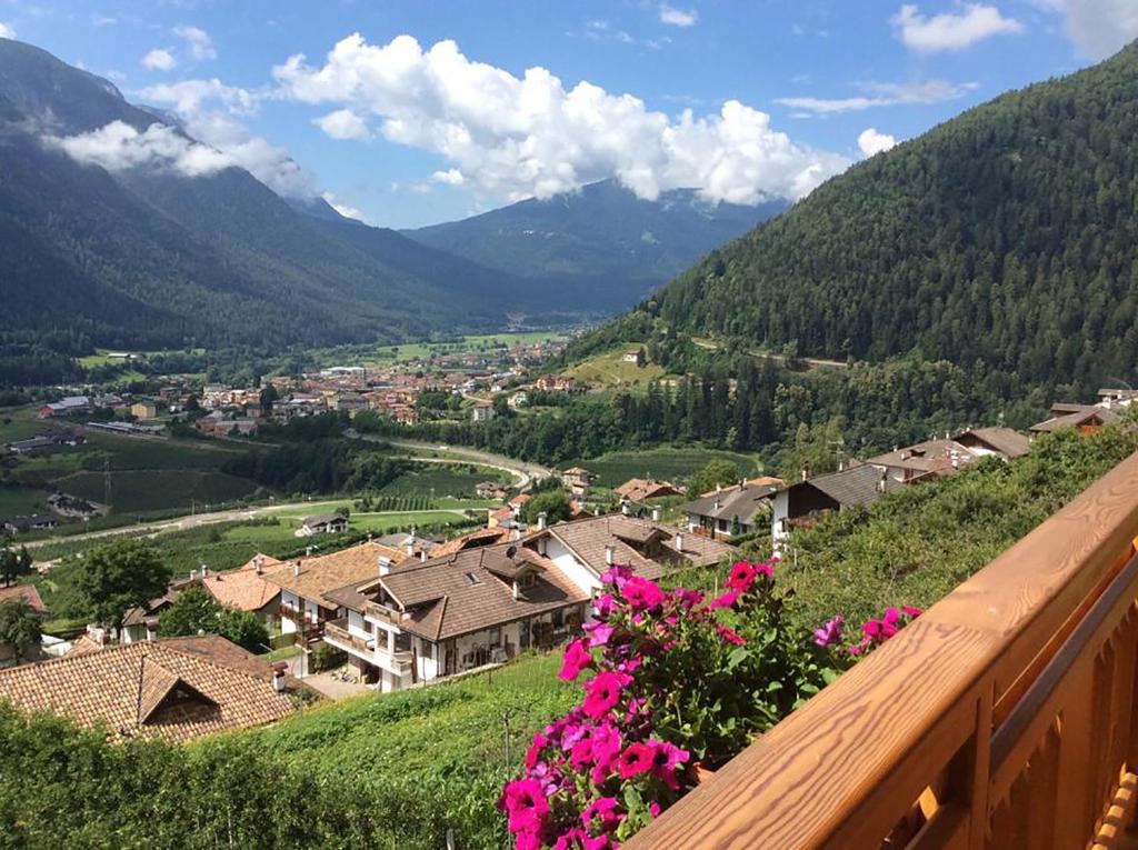 B&B La Marmotta - 3