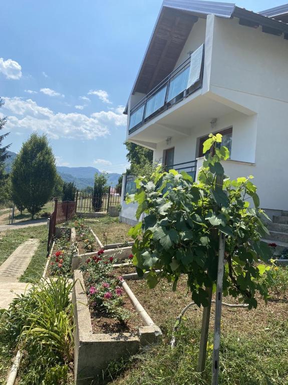 Villa Rose - 3