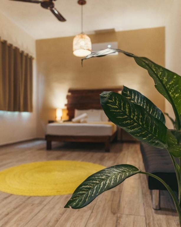 Hotel Sur Bacalar - 2