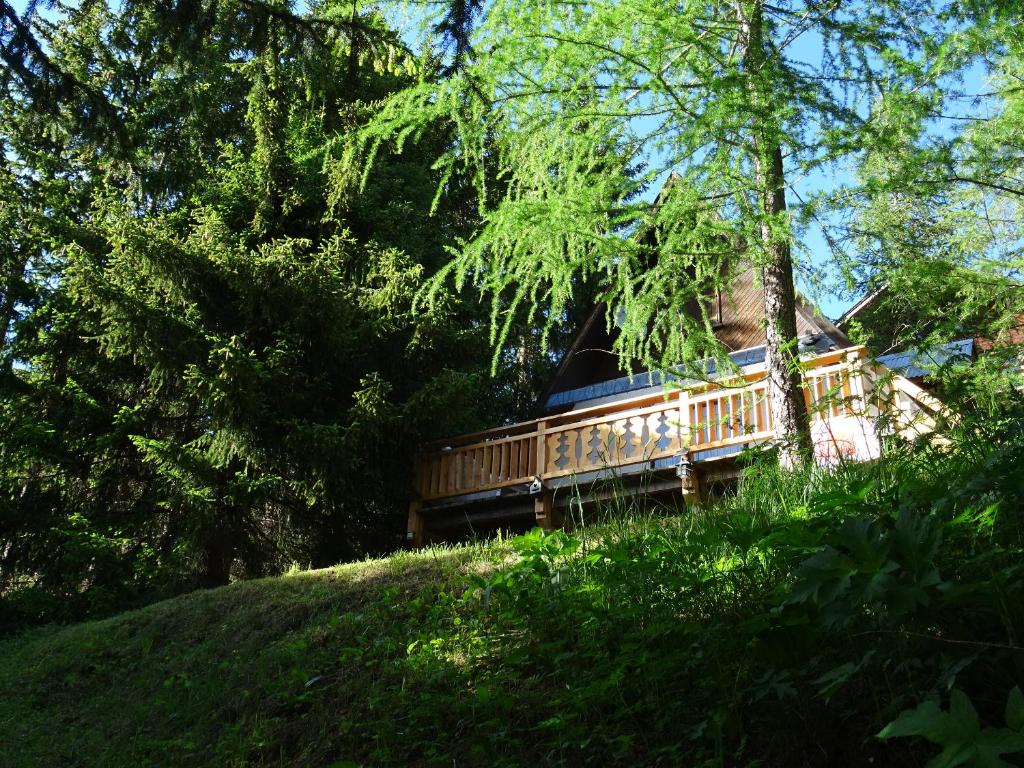 Chalet La Foux d Allos centre Station, La Foux