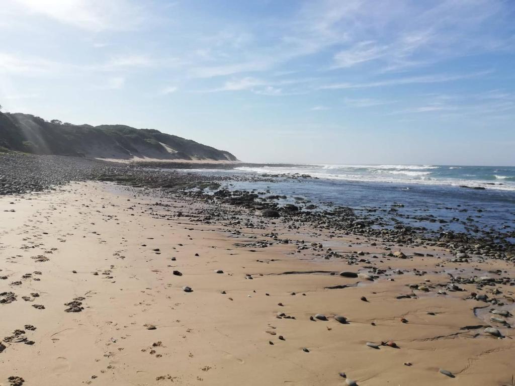 204 on Panorama photo