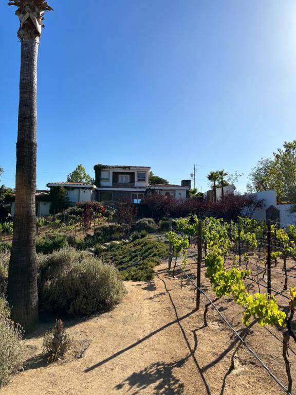 Casa Marieta — Hotel in Ensenada