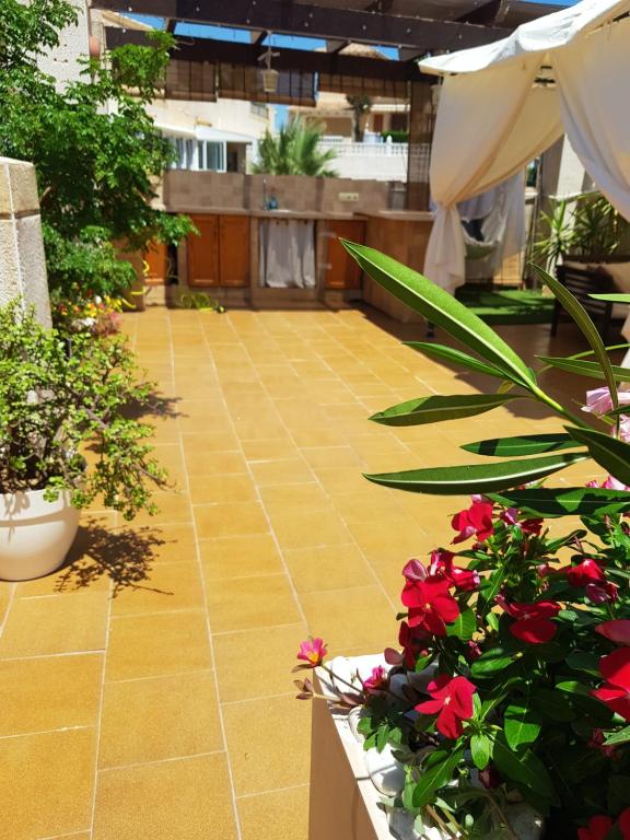 Apartamento MonteGolf con TERRAZA PRIVADA - 2
