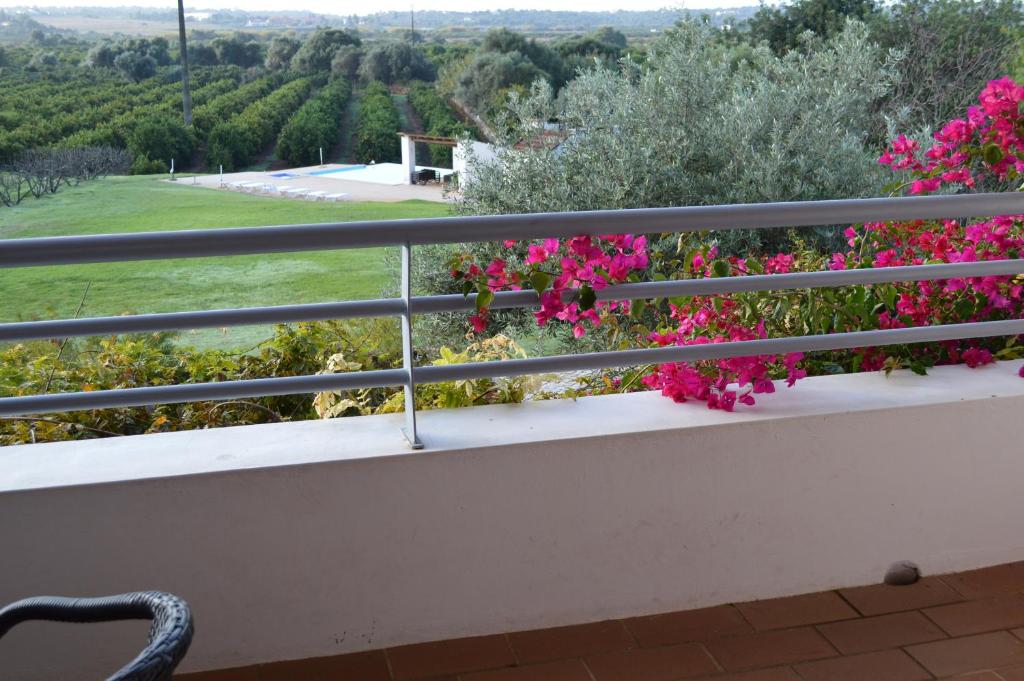 Quinta Da Mesquita photo