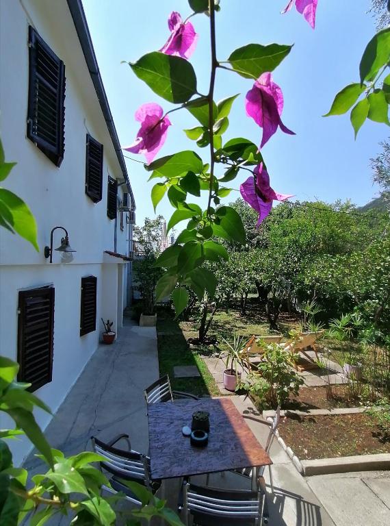 guest house BULJARICA - 5