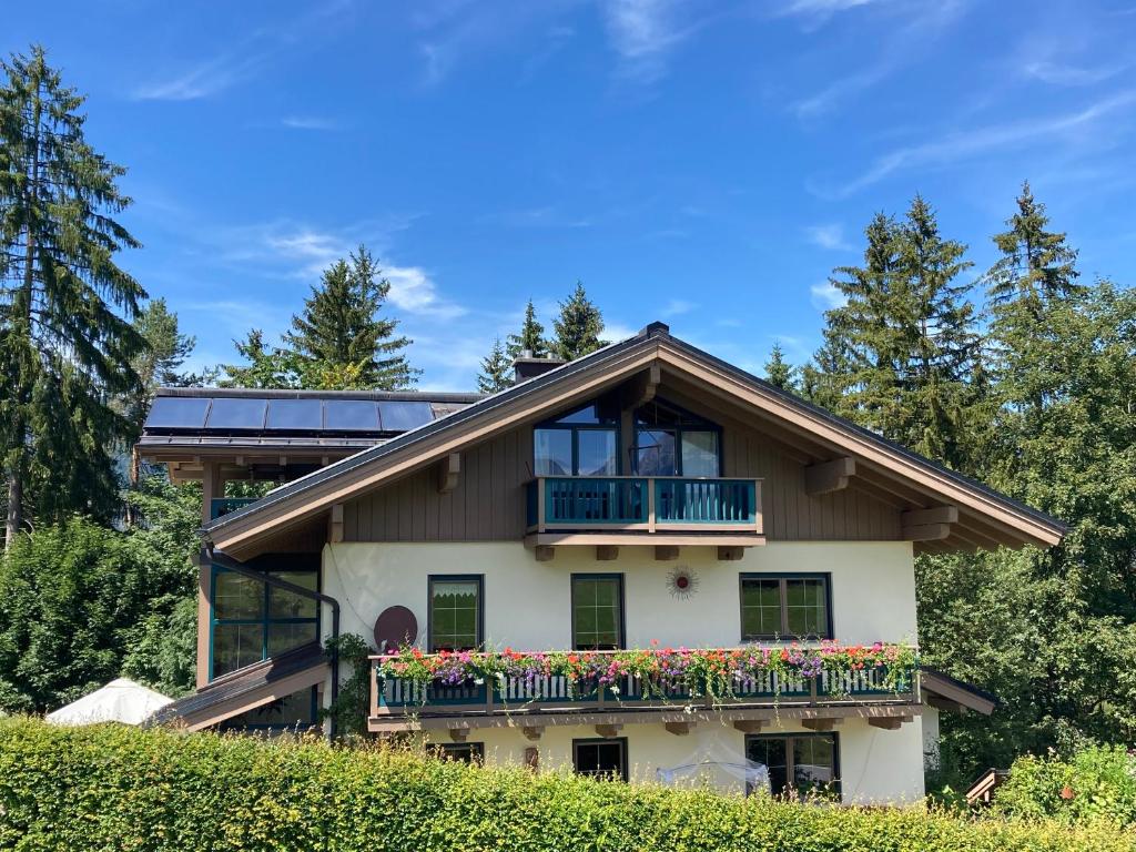 Haus Waldfrieden - 4