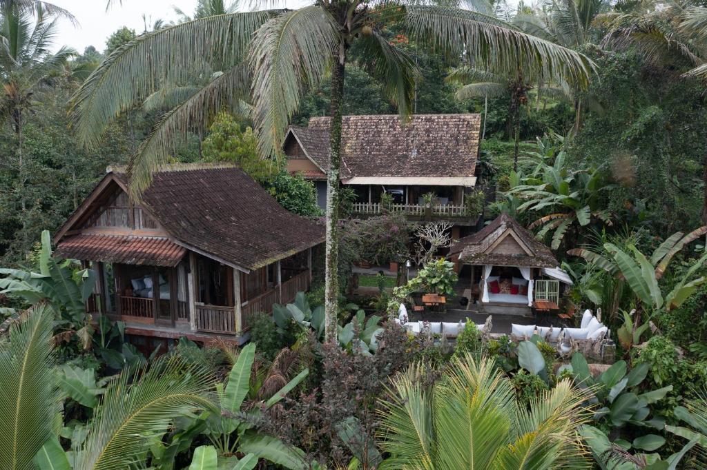 Nienté Bali, Penebel