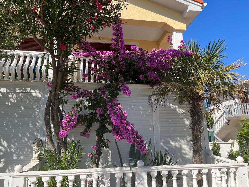 Apartmani Divkovic, Vir