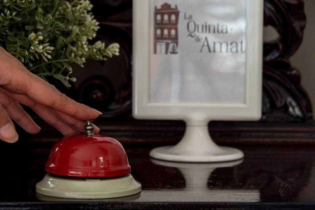 La Quinta de Amat photo