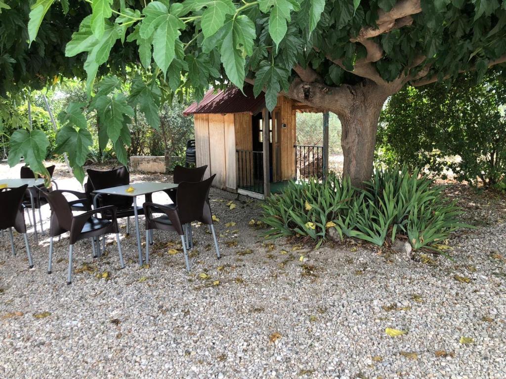 Cortijo El Alamo 전경