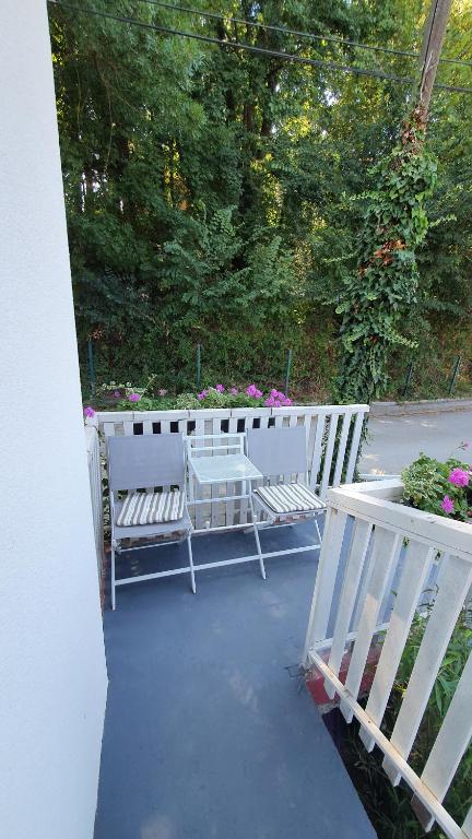 Apartmani Luxor photo
