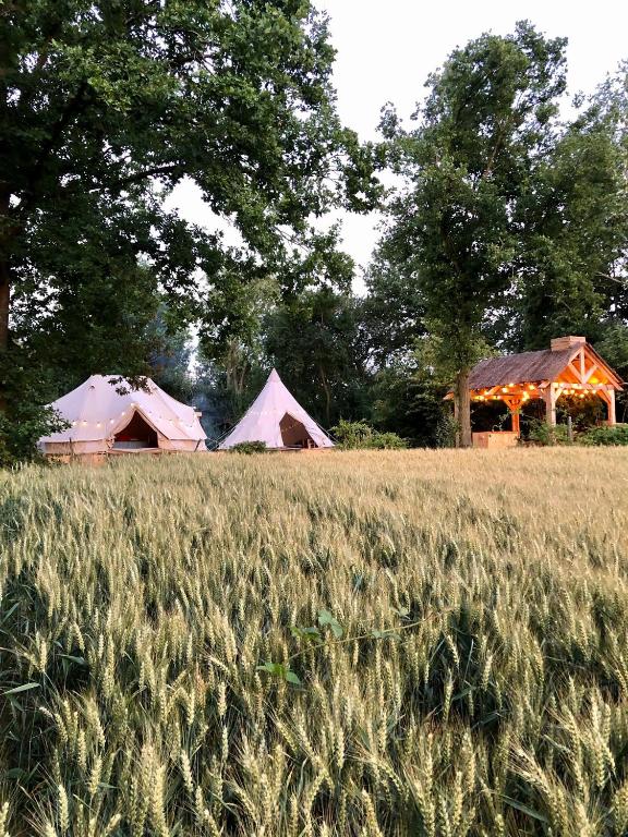 Cowcooning / Family tents, Huldenberg