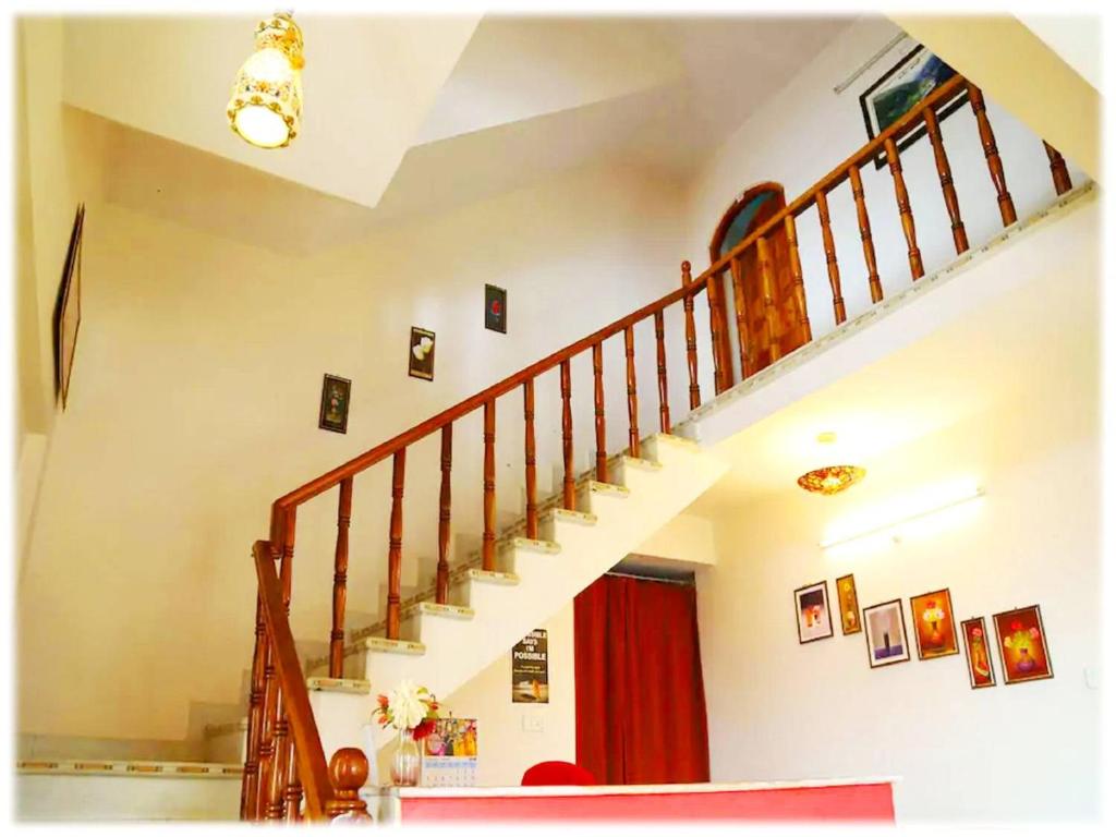 Star View Cottage photo