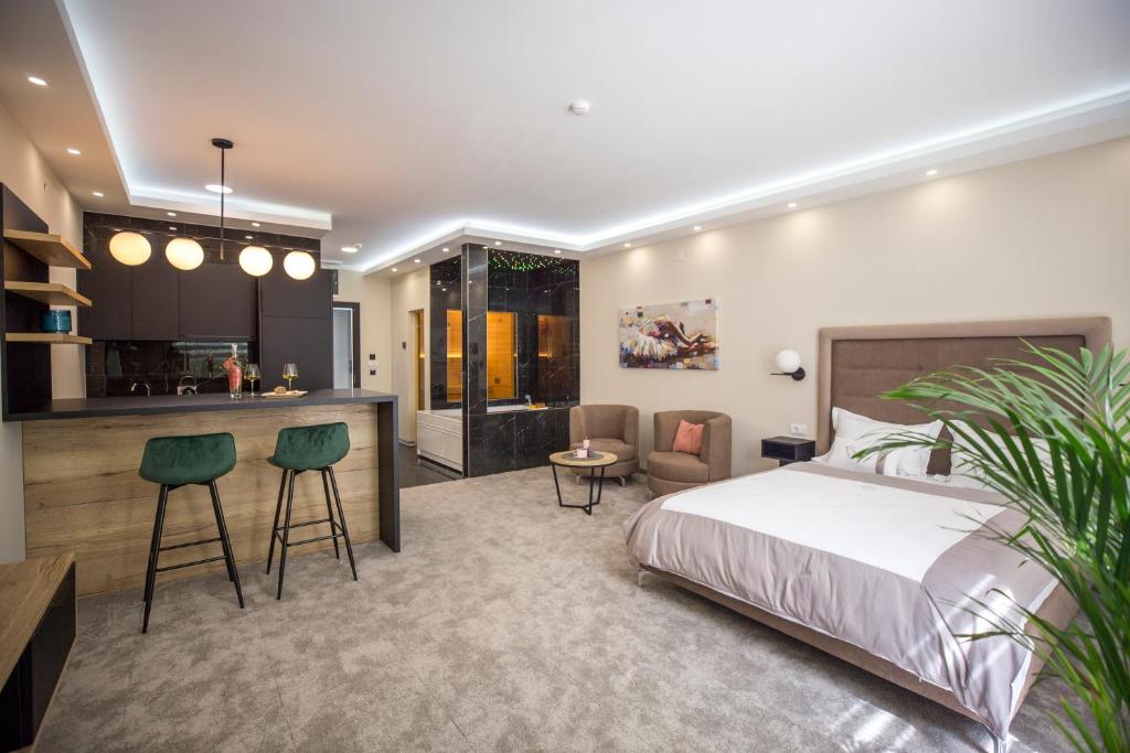 VS Exclusive Luxury Wellness & Spa Apartmani - Vrnjačka Banja - 1