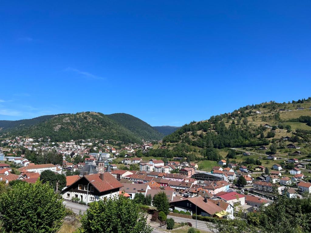 Magnifique appartement classé 4 étoiles avec Sauna et terrasse dans chalet - 5