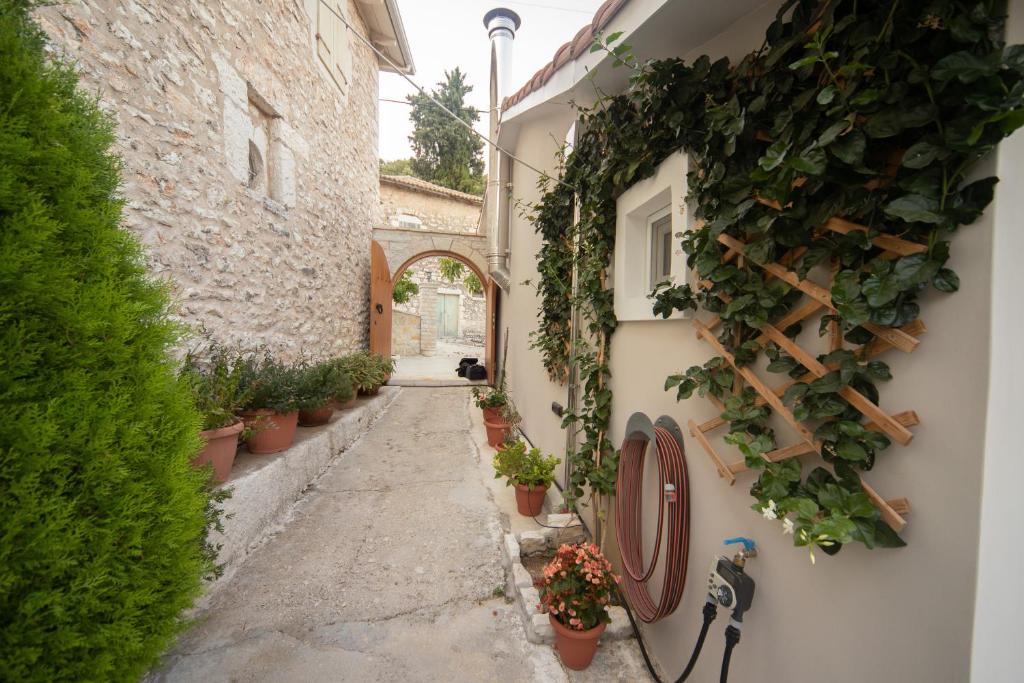 Casa de la Vita photo