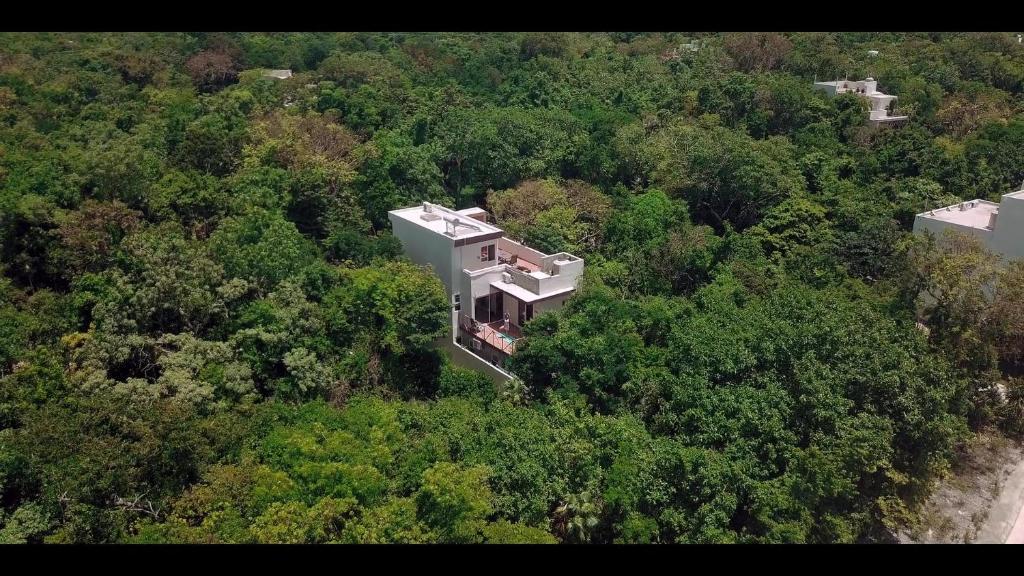 Relaxing comfortable jungle view MEXPLOR Villa Rivera Maya Puerto Morelos POOL-AC-GYM- GATED COMMUNITY - 5