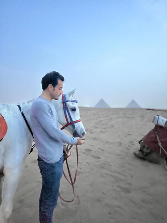 アクティビティ