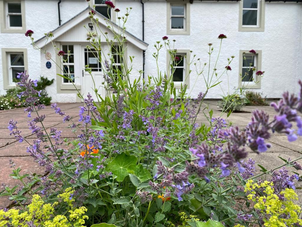 Hartfield House Hostel, Applecross