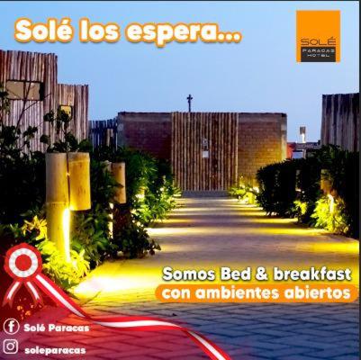 Sole Paracas photo