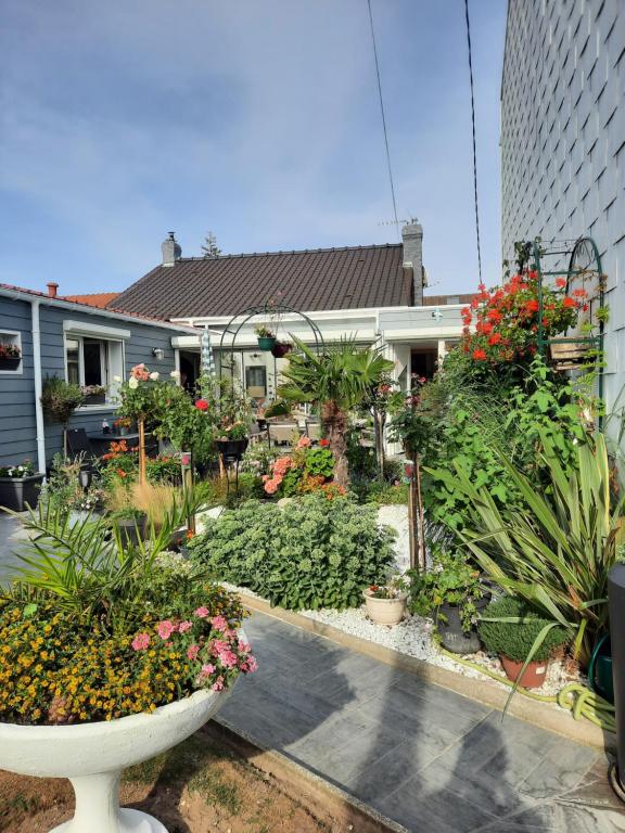 Mon petit paradis - 3