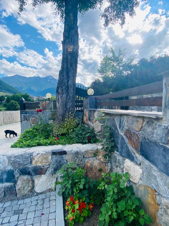 Guesthouse AlpenRose photo
