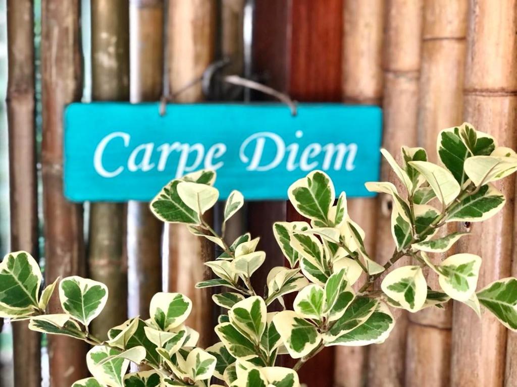 Carpe Diem Residence photo
