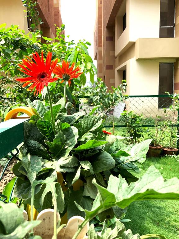 Entire 3 bedroom Duplex Villa with Garden at Vedic photo