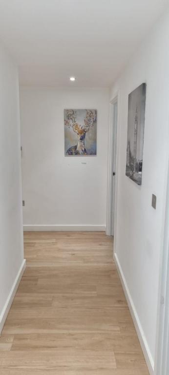 Lovely 2 Bedroom Apartment in London photo