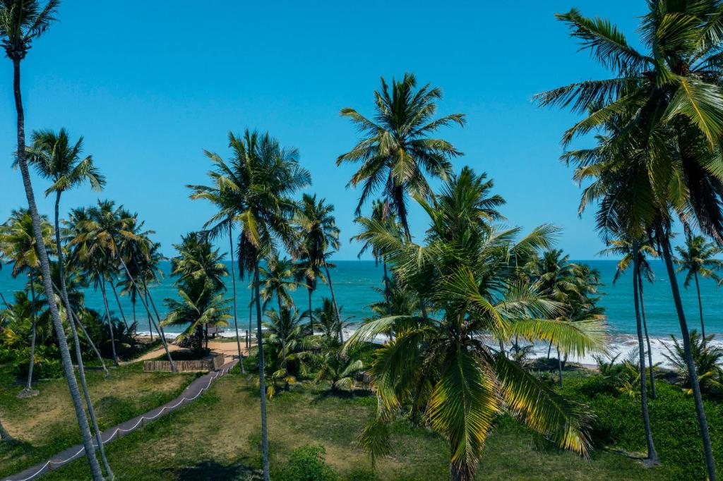 Iberostar Selection Praia do Forte photo
