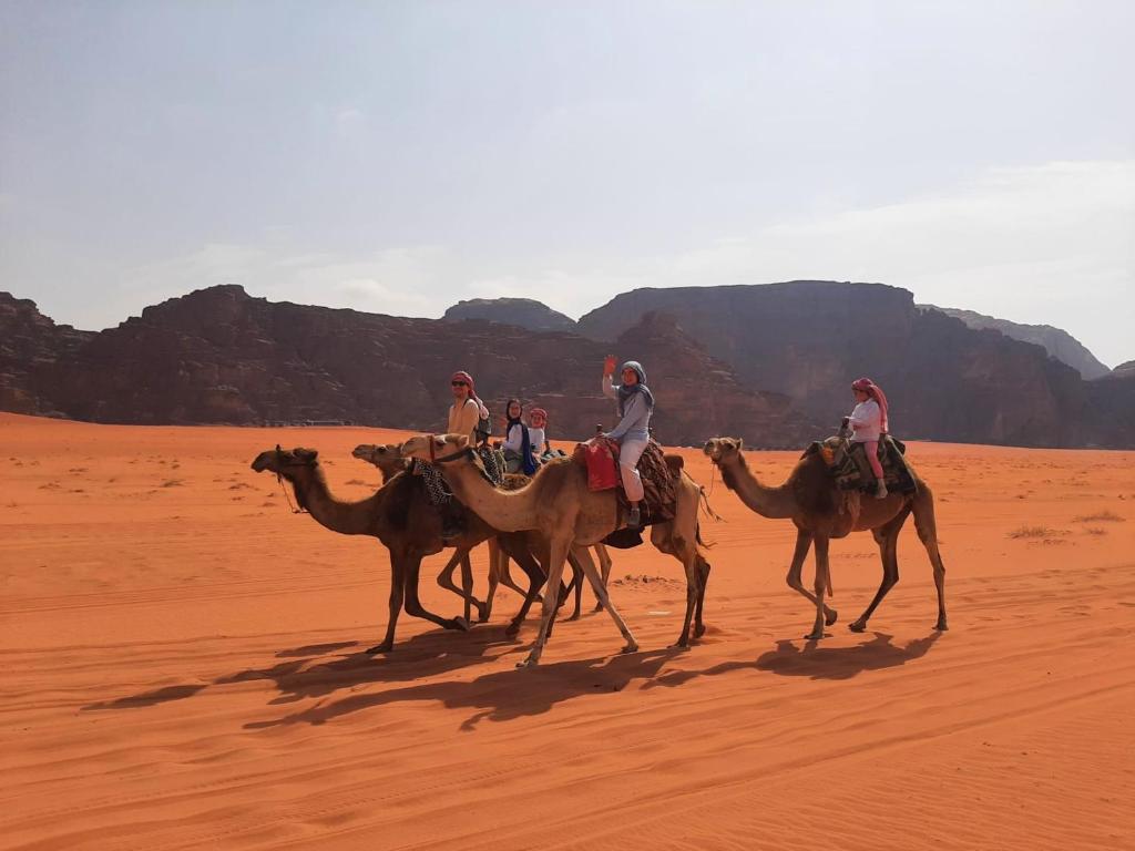 Wadi rum Local guide camp photo
