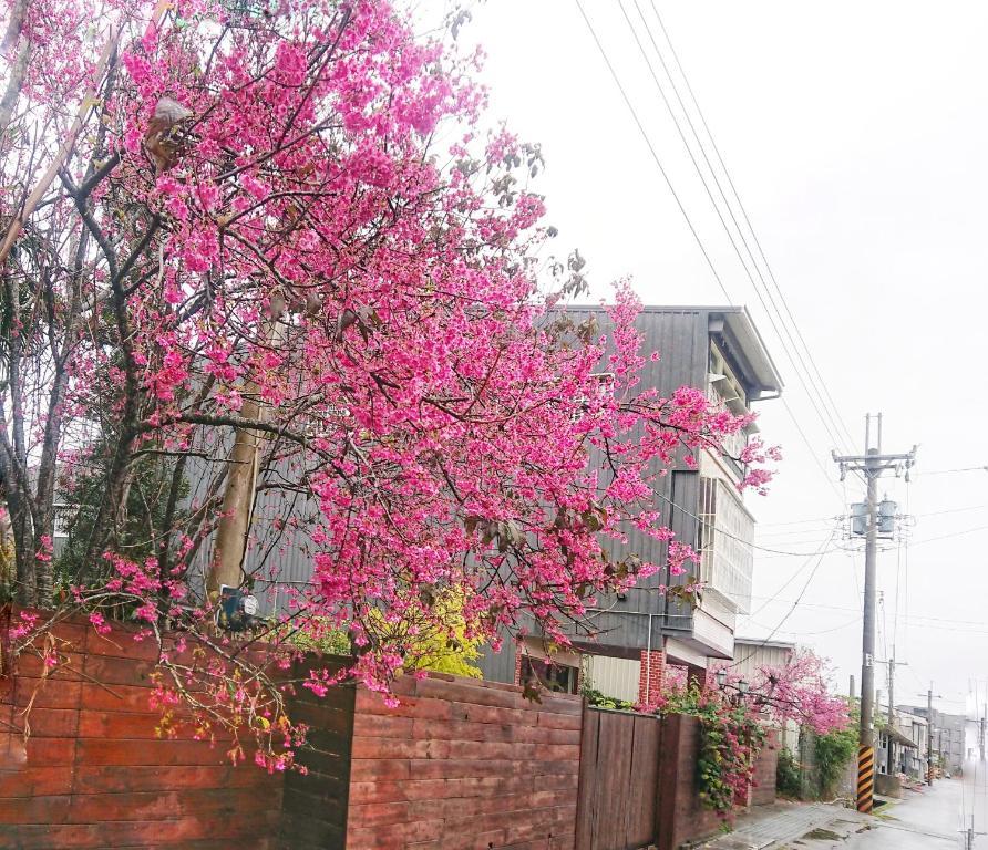 Xinshe Xiao Shu time homestay photo