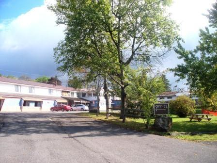 Alpine Lodge — Hotel in Davis (WV)