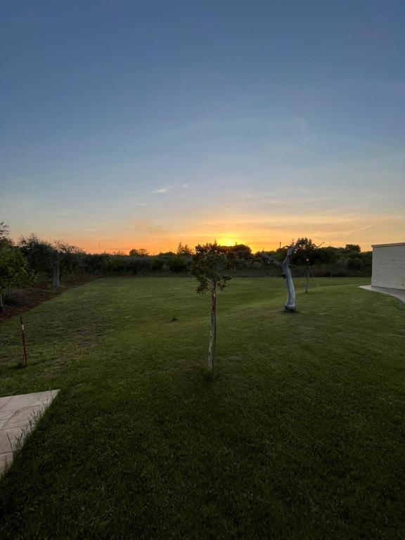 Villa Zippo photo