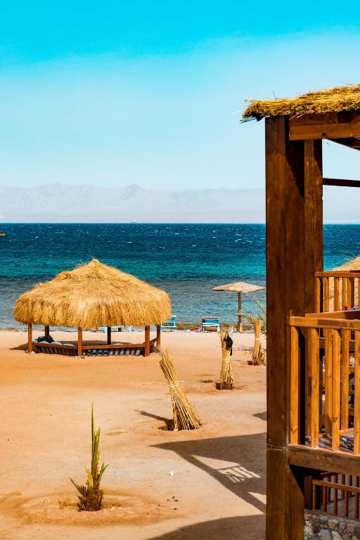 Paradise Sweir photo