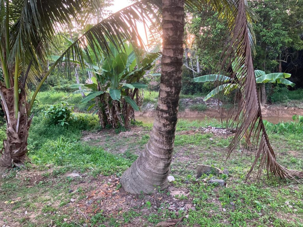 Al-Hafiz Homestay photo