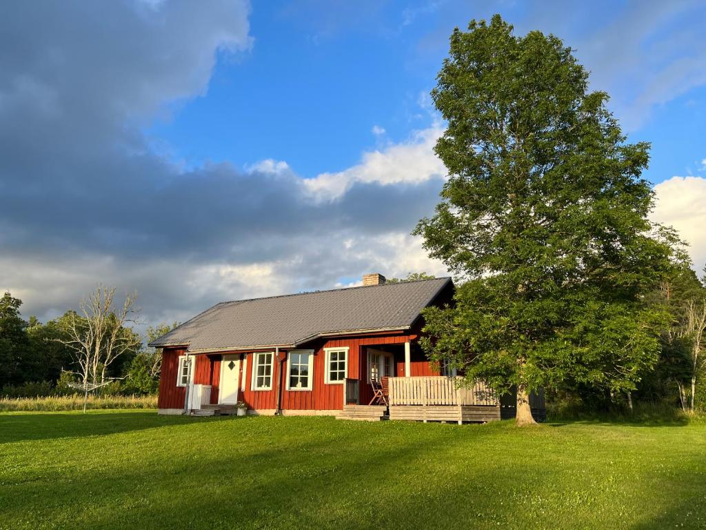 Nya Matsas — Hotel in Kivi