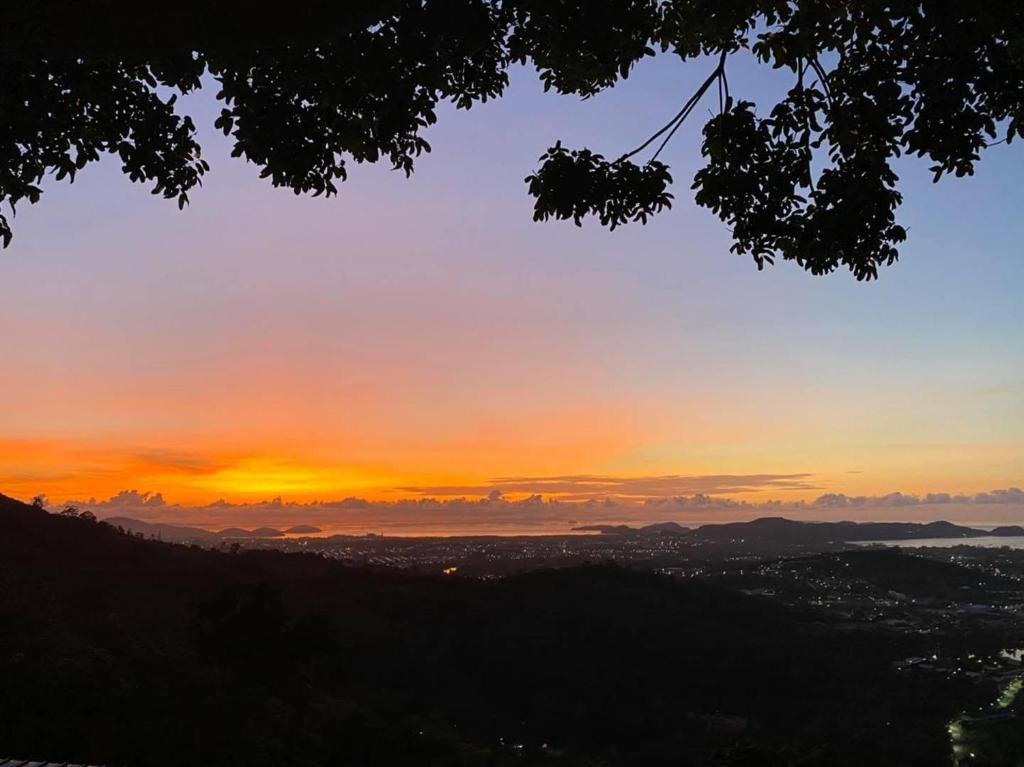 View