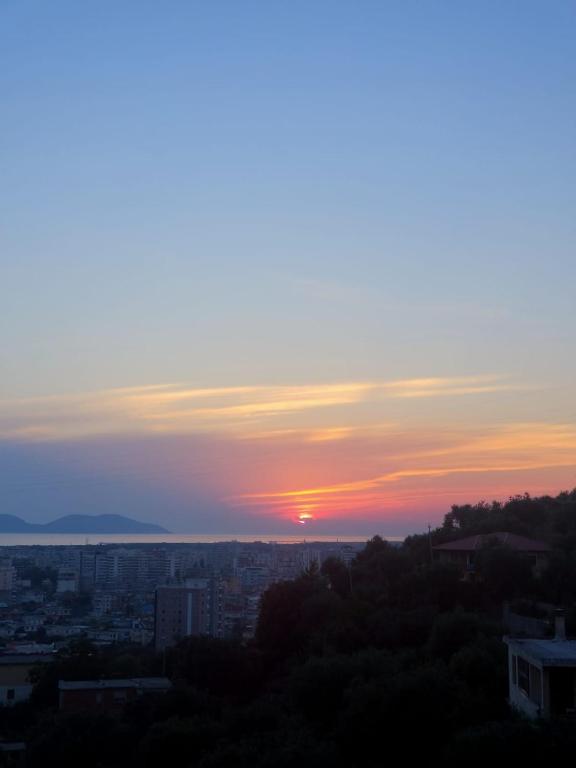 Vila Oliven photo