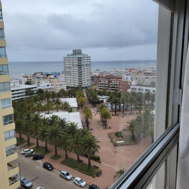 Apartment in Punta del Este - 4