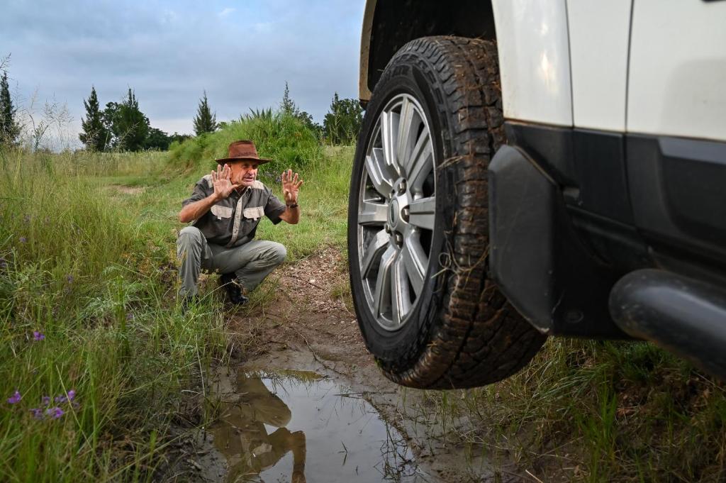 アクティビティ