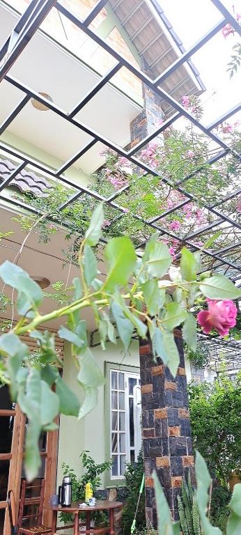 Villa 288 photo