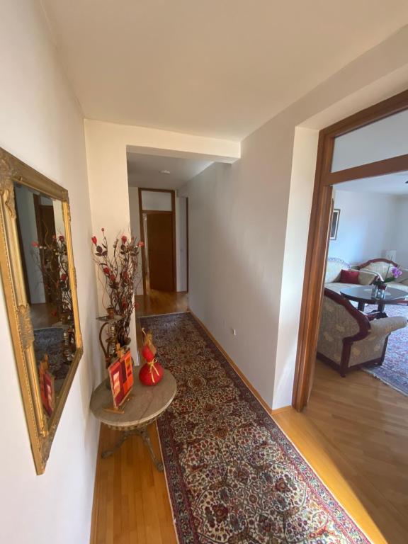 Sarajevo City View Apartment - 5