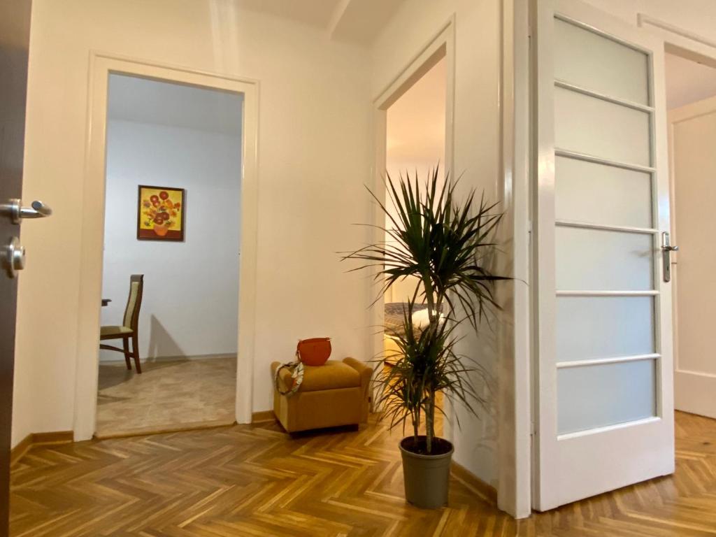 Local nest by Mili - 5